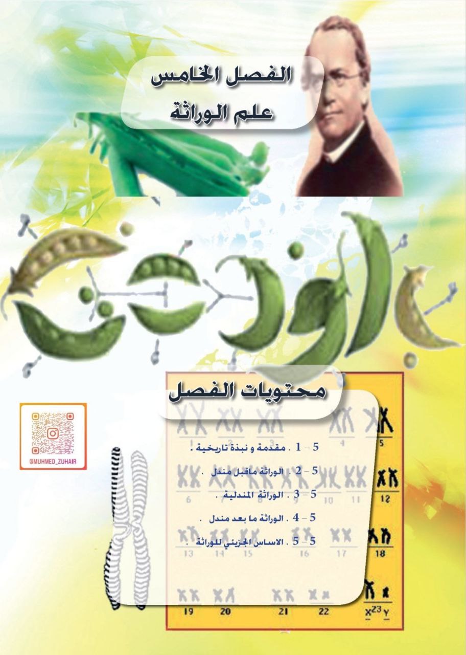 ملزمة محمد زهير احياء وراثة السادس العلمي – تحميل PDF