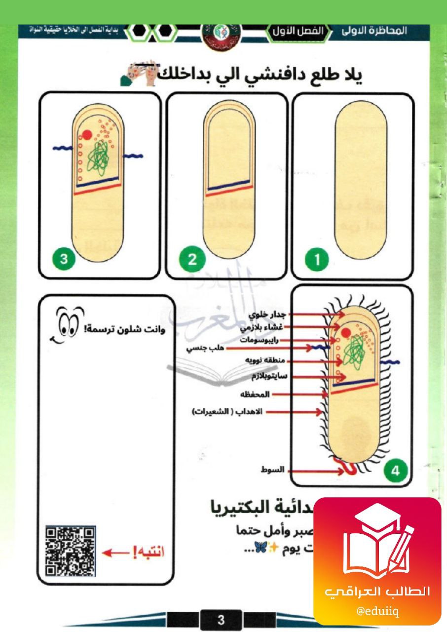 ملزمة نورس الموسوي رسومات و امتحانات الاحياء السادس العلمي – تحميل PDF