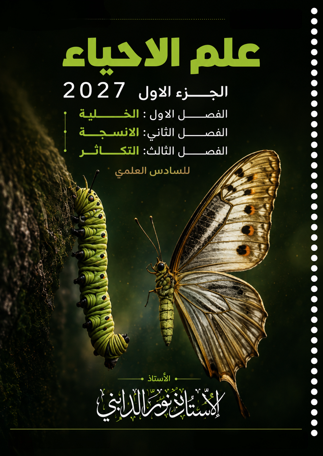 ملزمة نورا الدايني